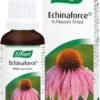 Echinaforce Echinacea Drops