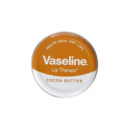 VASELINE LIP T COCO BUTTER 20G